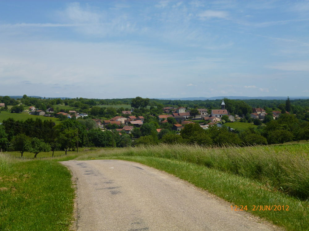 Vente Terrain TERRAINS   VIABILISES Vougcourt