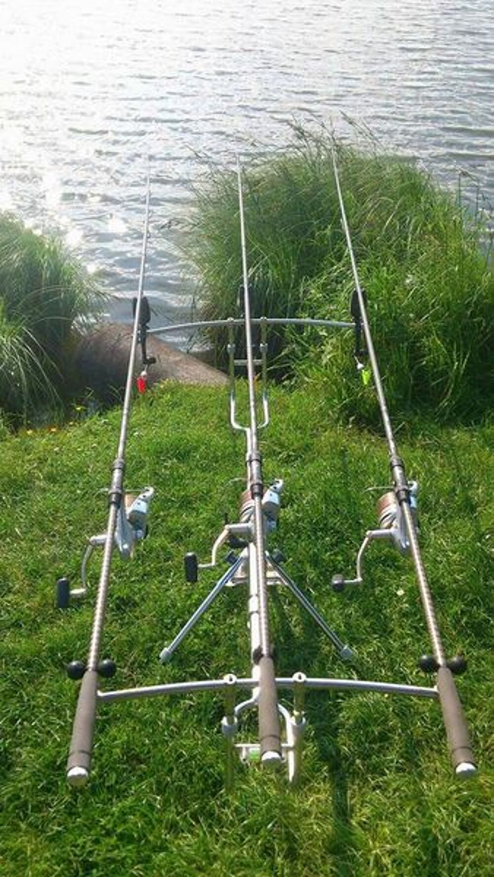 canne a carpe Sports