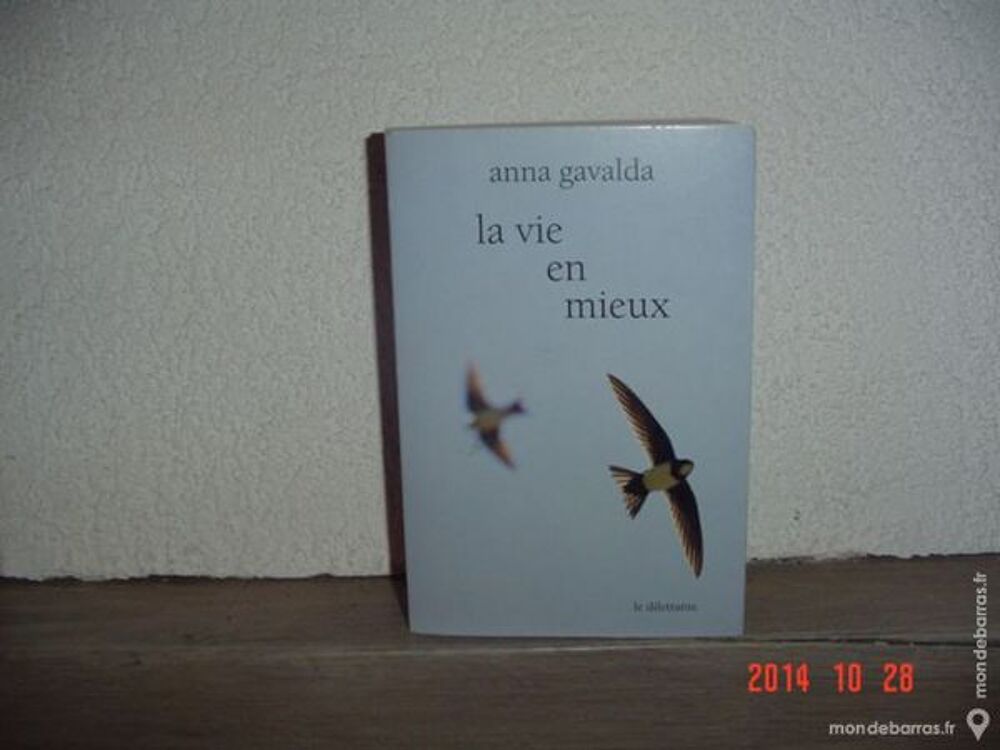 La vie en mieux ANNA GAVALDA Livres et BD