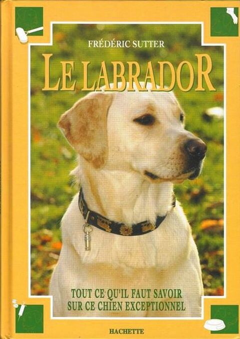 LABRADOR - tout savoir sur le labrador / prixportcompris 13 Reims (51)