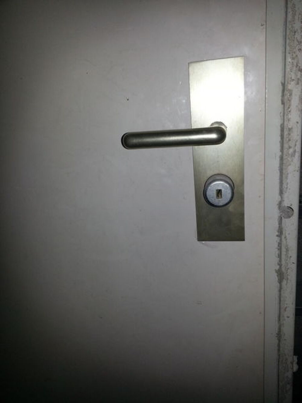 porte blindee + serrurerie FICHET Bricolage