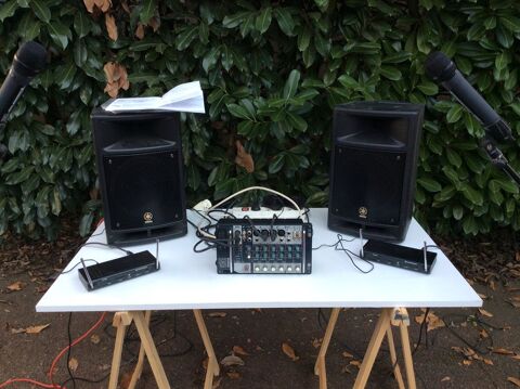 Sono Yamaha 300 Pau (64)