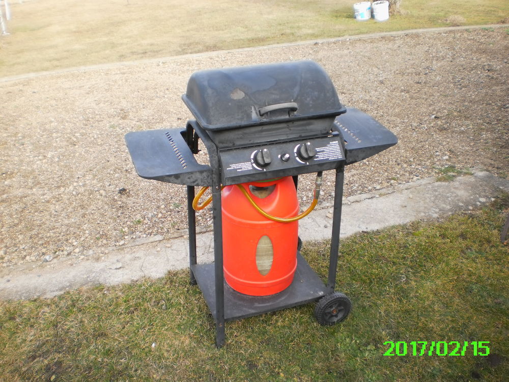 barbecue &agrave; gaz Jardin
