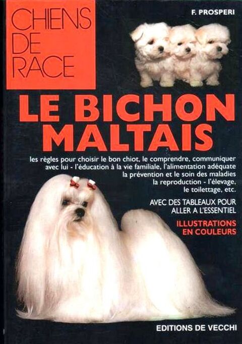 LE BICHON MALTAIS - CHIEN / prixportcompris 12 Lille (59)