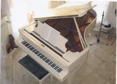 Schimmel 208 Tradition blanc 20000 Paris 8 (75)