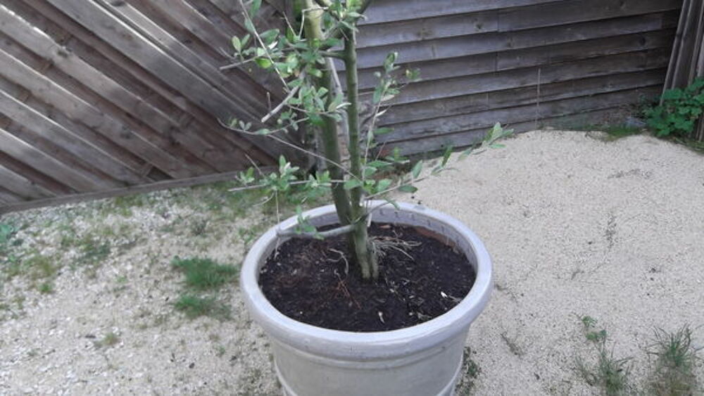bac &agrave; fleures en c&eacute;ramique Jardin