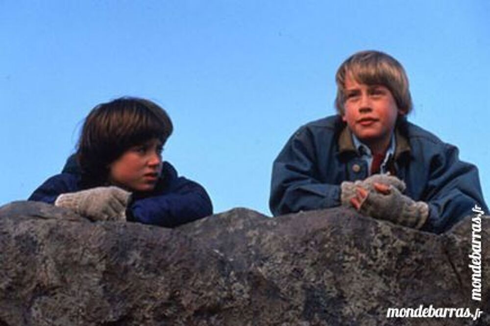 Dvd: Le Bon fils (224) DVD et blu-ray