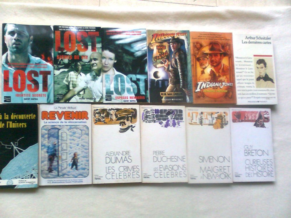 lot 31-Lost, IndianaJone, r&eacute;incarnation...zoe Livres et BD