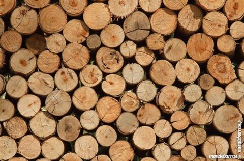 bois de chauffage 40 Allgre (43)