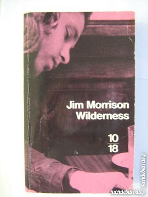 JIM MORRISSON  par  WILDERNESS 3 Brest (29)