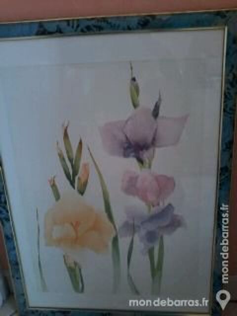 CADRE TABLEAU MOTIF FLEURS GLAIEULS 8 Saint-Martin-au-Lart (62)