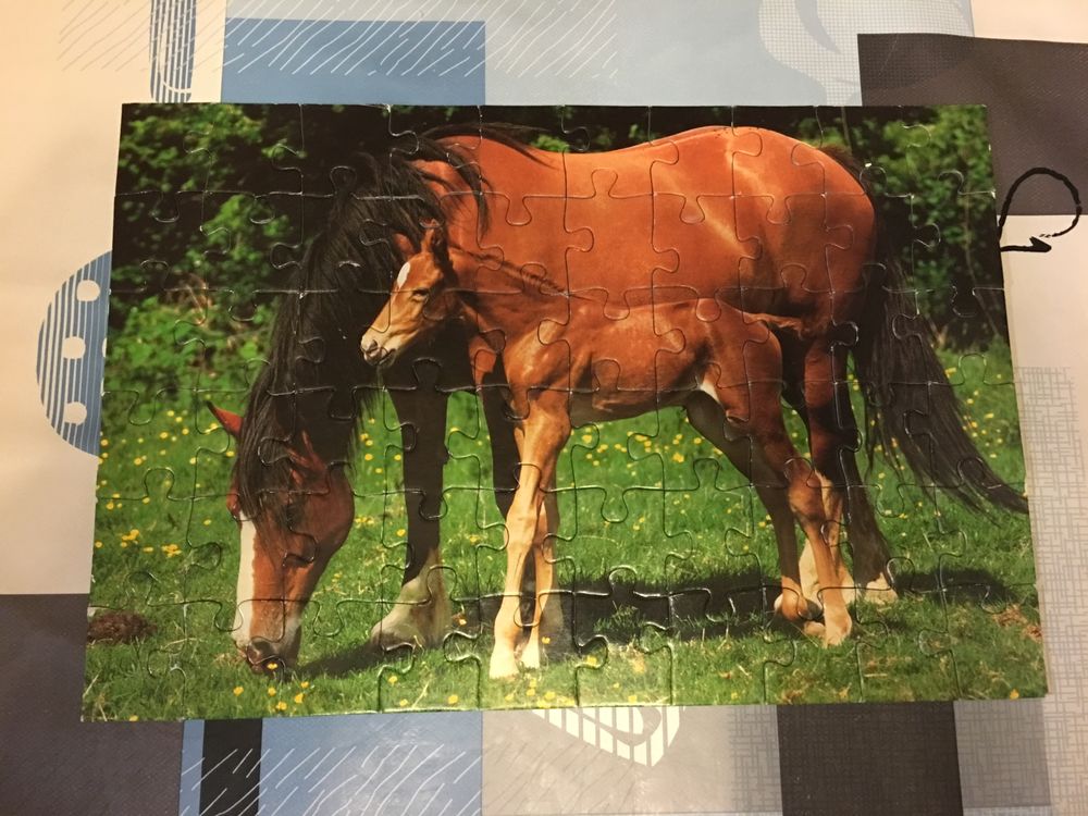 Puzzle 60 pi&egrave;ces La Jument et son Poulain Jeux / jouets