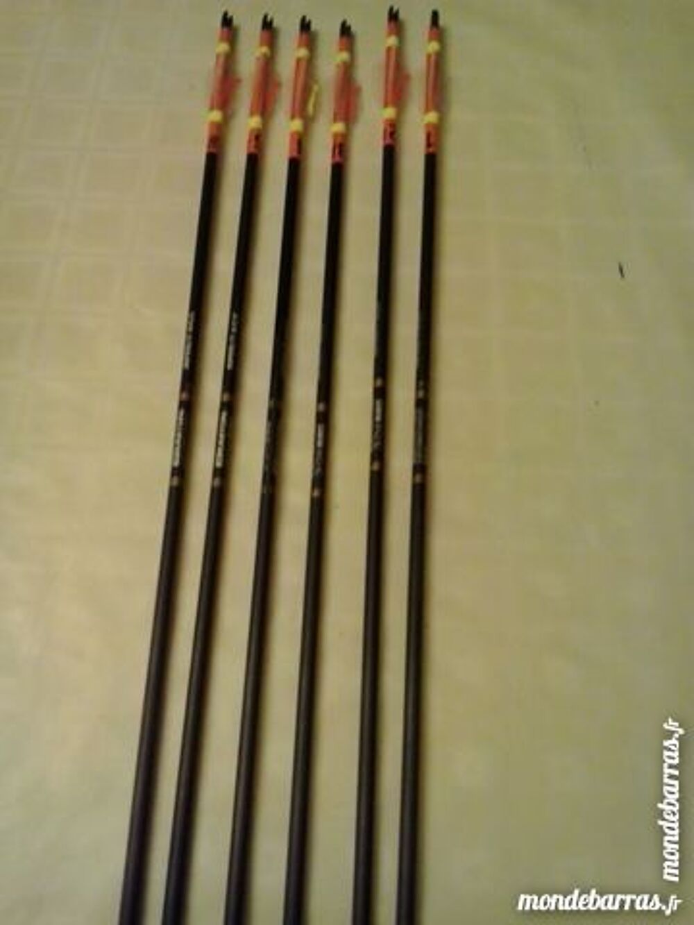 fl&egrave;che Sports