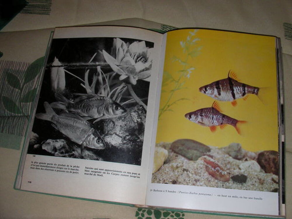Encyclop&eacute;die illustr&eacute;e des poissons Livres et BD