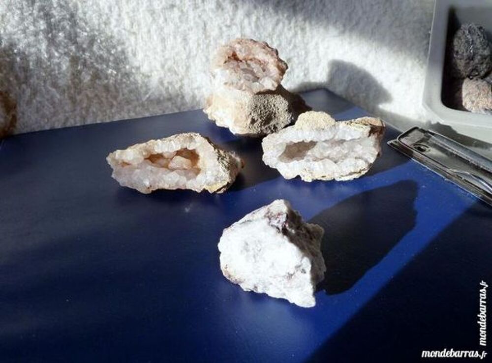 MIN&Eacute;RAUX &laquo; collection &raquo;FOSSILES 