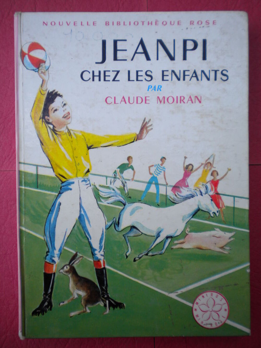 12 LIVRES ADOLESCENTS Gar&ccedil;ons ? 6 Livres et BD