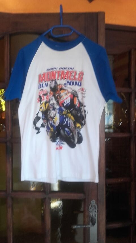 TEE SHIRT MOTO MIXTE NEUF 15 Saint-Victor-sur-Ouche (21)