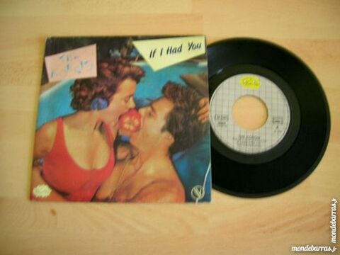 45 TOURS THE KORGIS If I had you 6 Nantes (44)