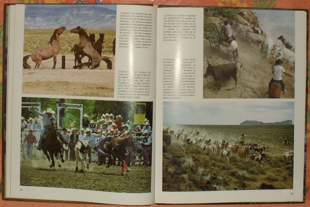 Les CHEVAUX de Angela SAYER &eacute;ditions PML Livres et BD