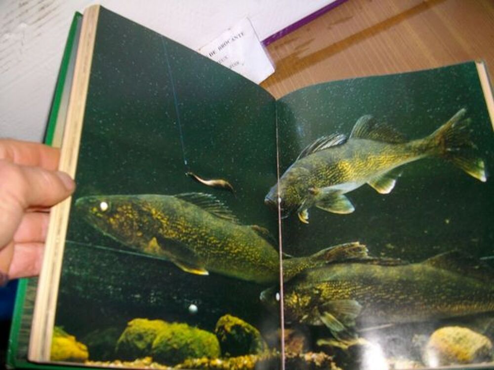 tr&egrave;s beau livre de p&ecirc;che boss08 Livres et BD