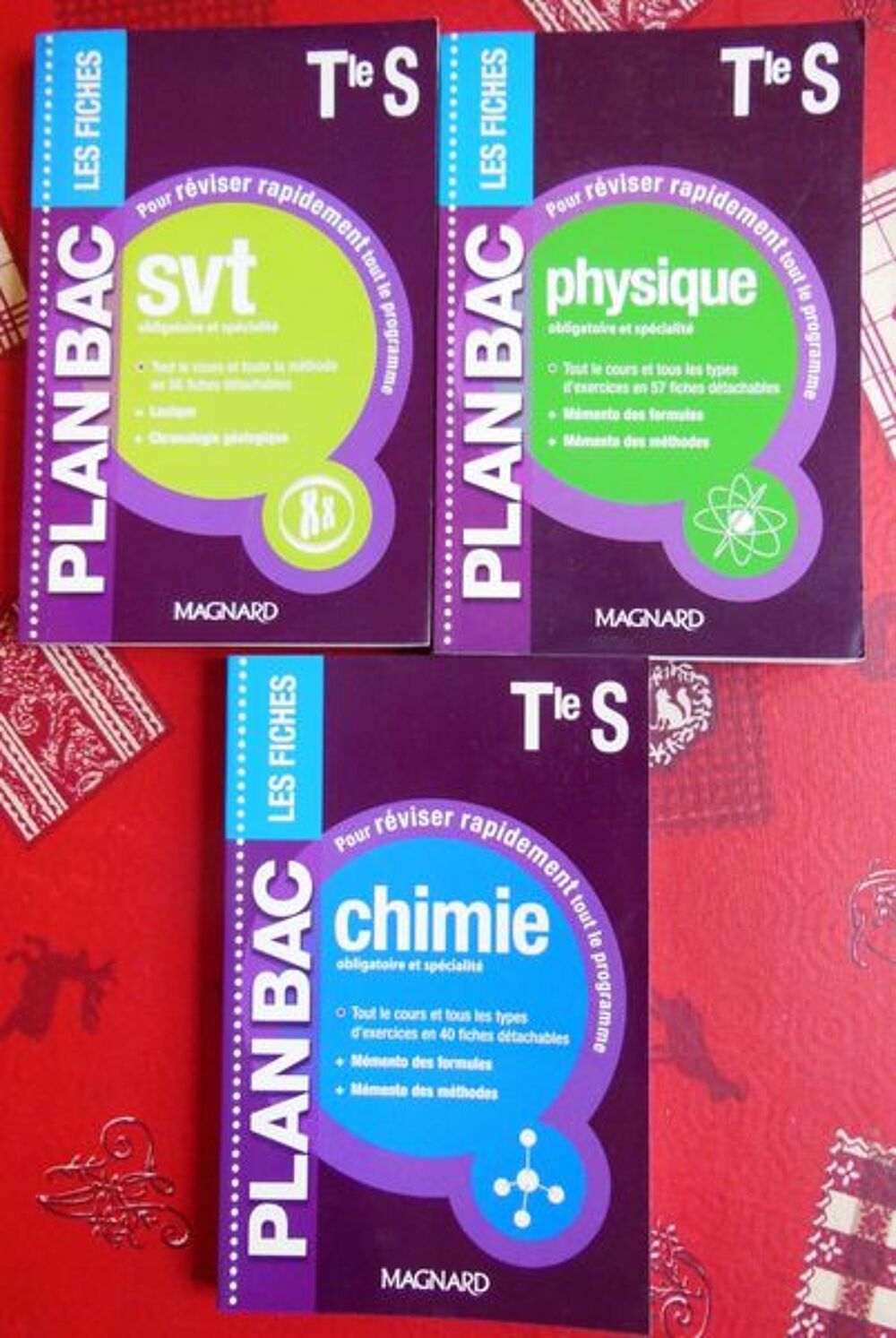 PLAN BAC LES FICHES LIVRES NEUF Livres et BD