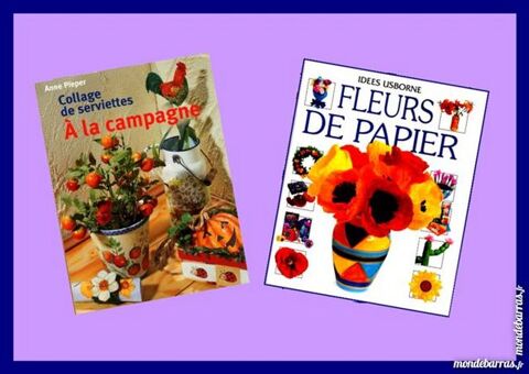 LE PAPIER EN LOISIRS CREATIFS 13 Laon (02)
