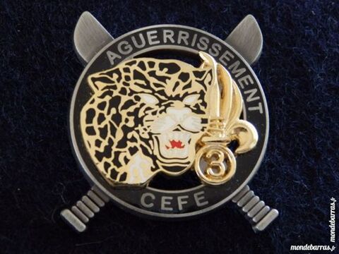  BREVETs    JUNGLE    LEGION ETRANGERE  25 Saint-Rapha�l (83)