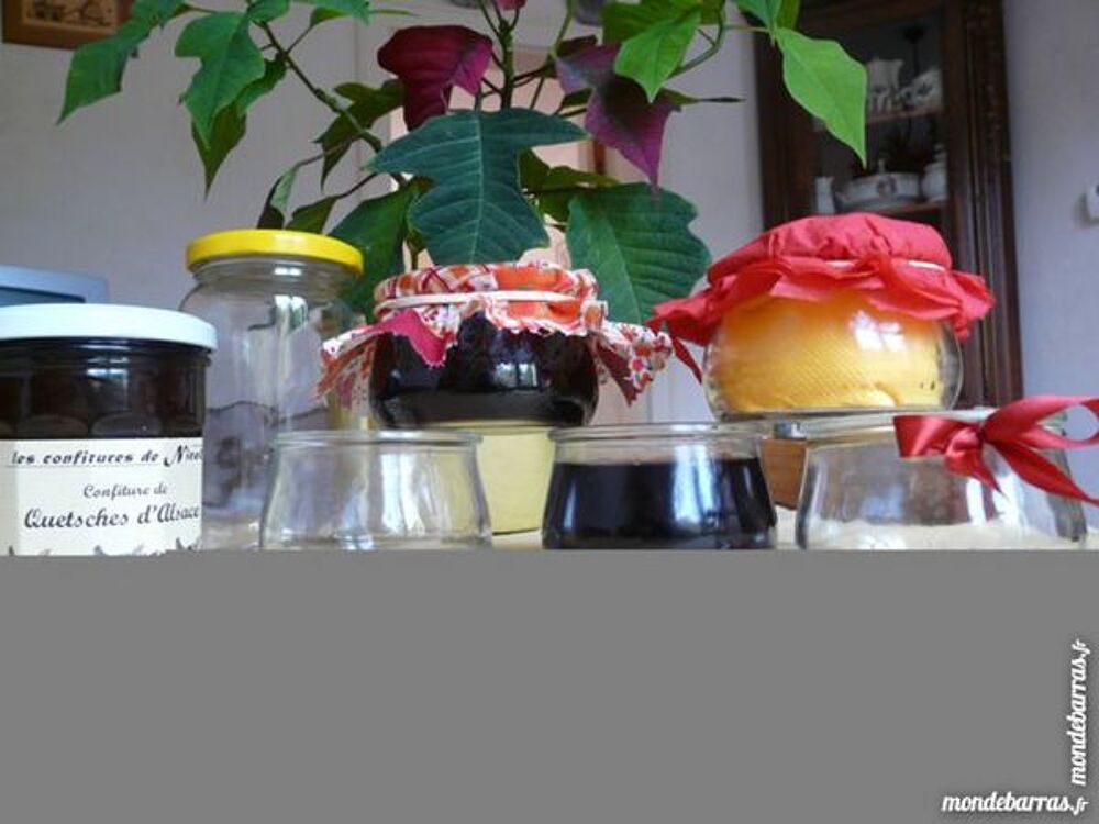 Ramequins, verrines pour mises en bouche Cuisine
