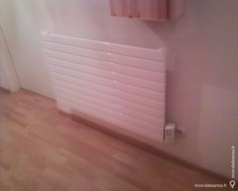RADIATEURS A INERTIE LONGILAME 1000 W 250 Illkirch-Graffenstaden (67)