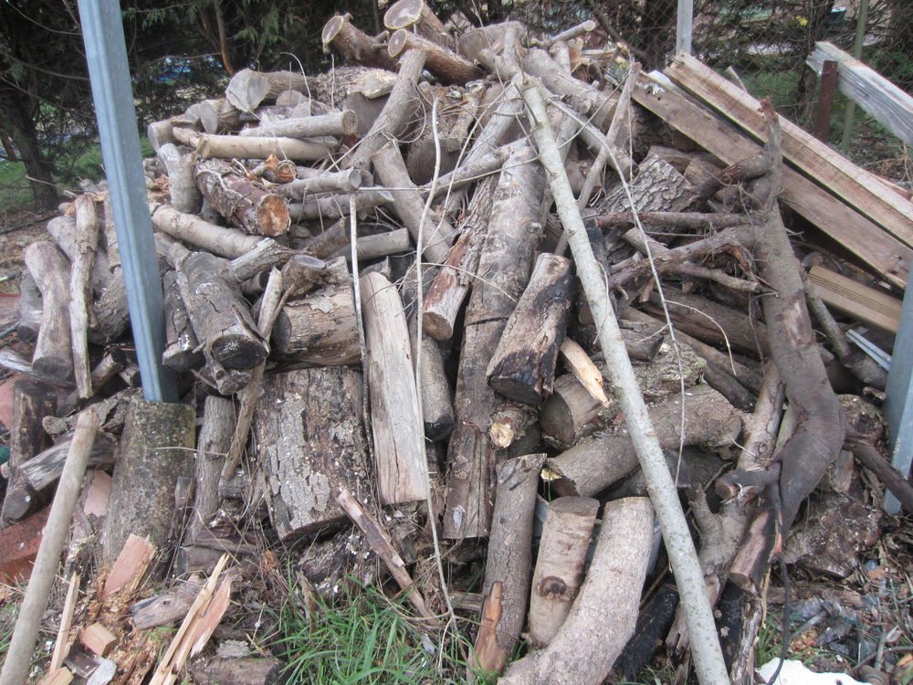 BOIS SEC FRENE Jardin