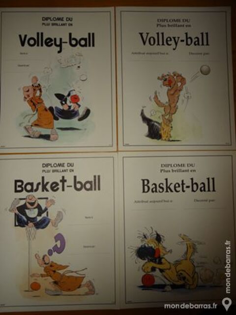 dilpômes neufs tout genre 2 Les Brouzils (85)