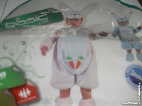  d�guisement   petit lapin    8 Saint-Germain-au-Mont-d'Or (69)