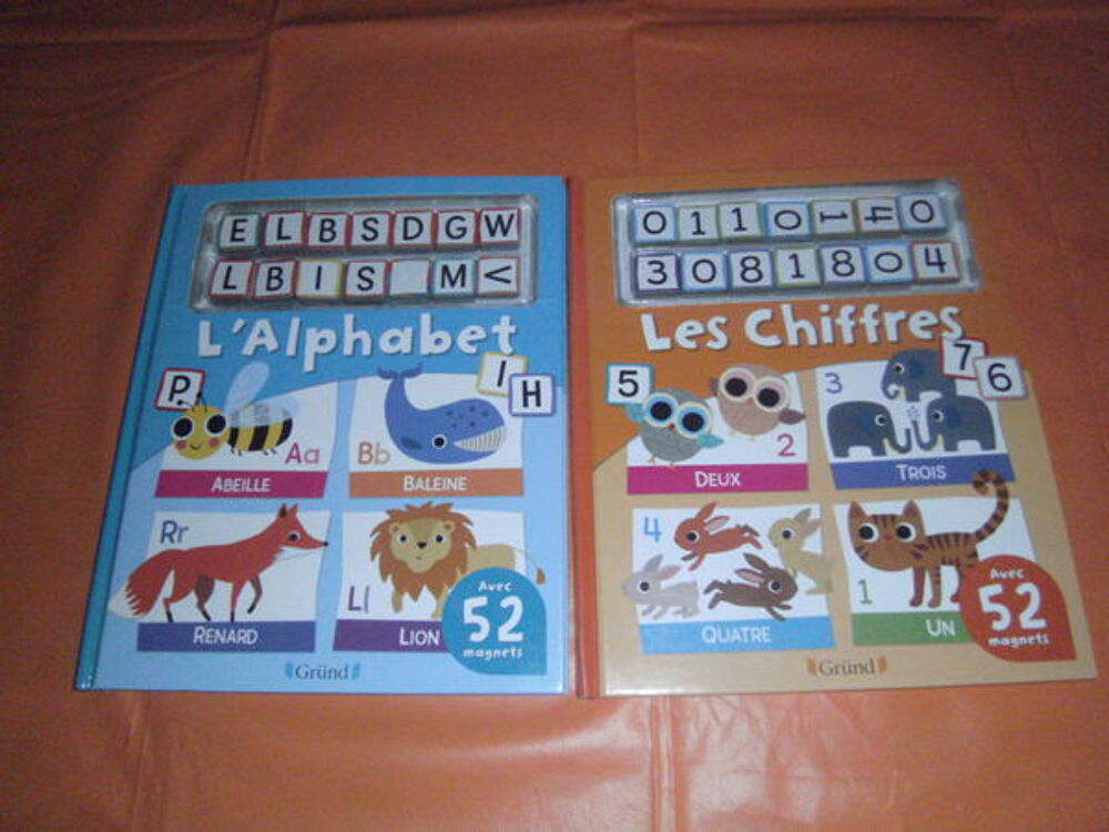 LOT LIVRES ET MAGNETS Jeux / jouets