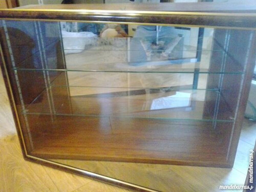 Vitrine pour collectionneur 