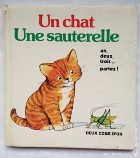 Un chat , une sauterelle 2 Illkirch-Graffenstaden (67)