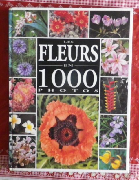LES FLEURS EN 1000 PHOTOS Ed. SOLAR 6 Attainville (95)