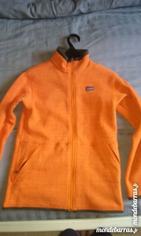 VENDS POLAIRE PATAGONIA 14-16 ANS 15 Albertville (73)