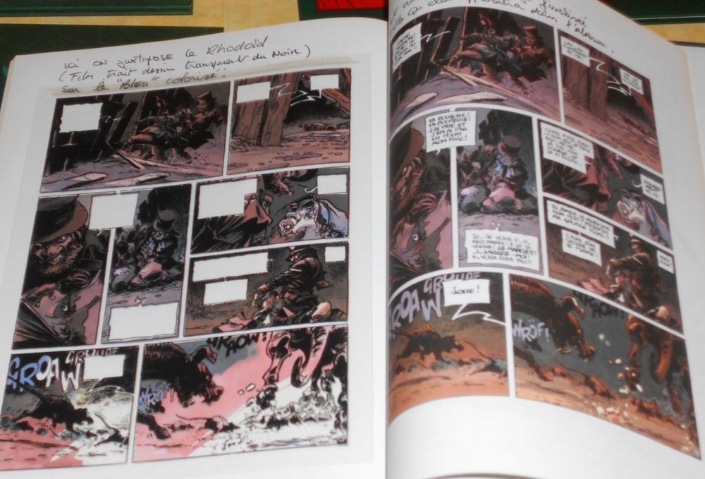 Peter Pan l'envers du d&eacute;cor Loisel Livres et BD
