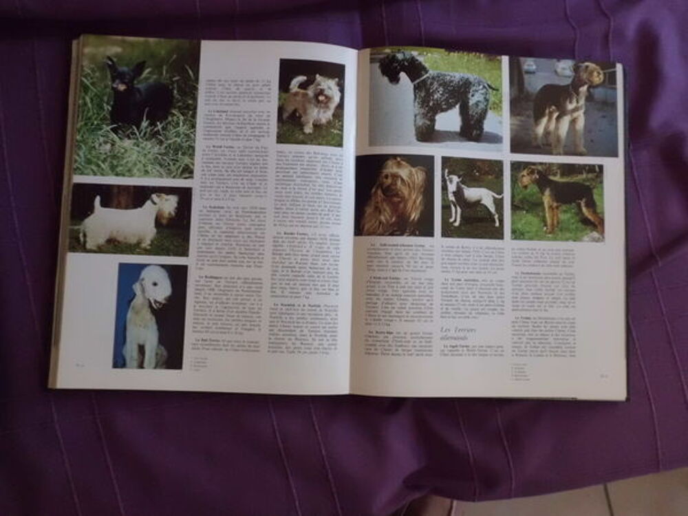 LES ANIMAUX DU MONDE Livres et BD