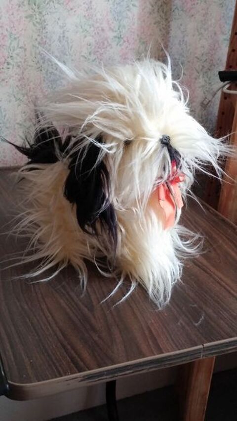 Peluche chien 8 Nancy (54)