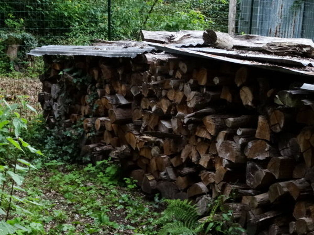 Bois de chauffage pr&ecirc;t &agrave; l'emploi Jardin