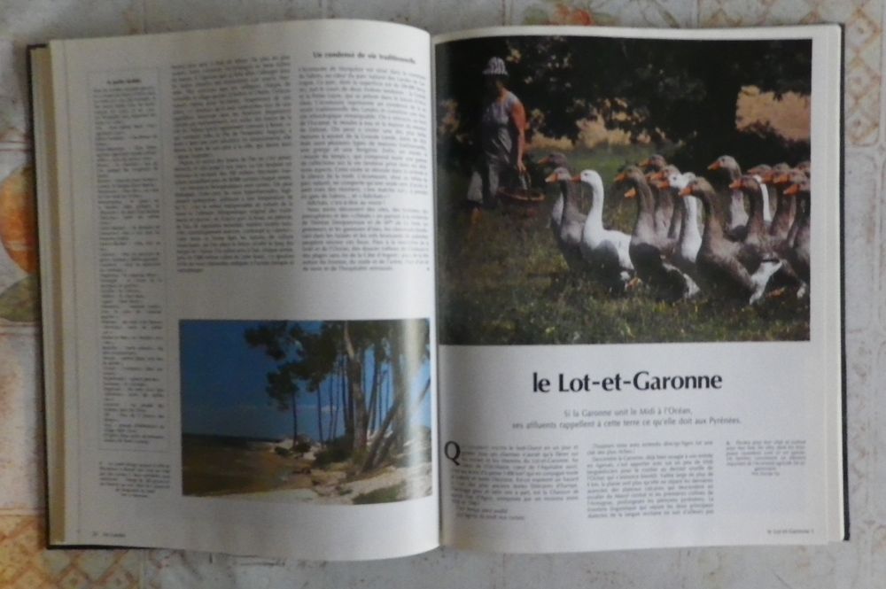 PAYS ET GENS DE FRANCE 16 LIVRES EN LOT OU UNITE Livres et BD
