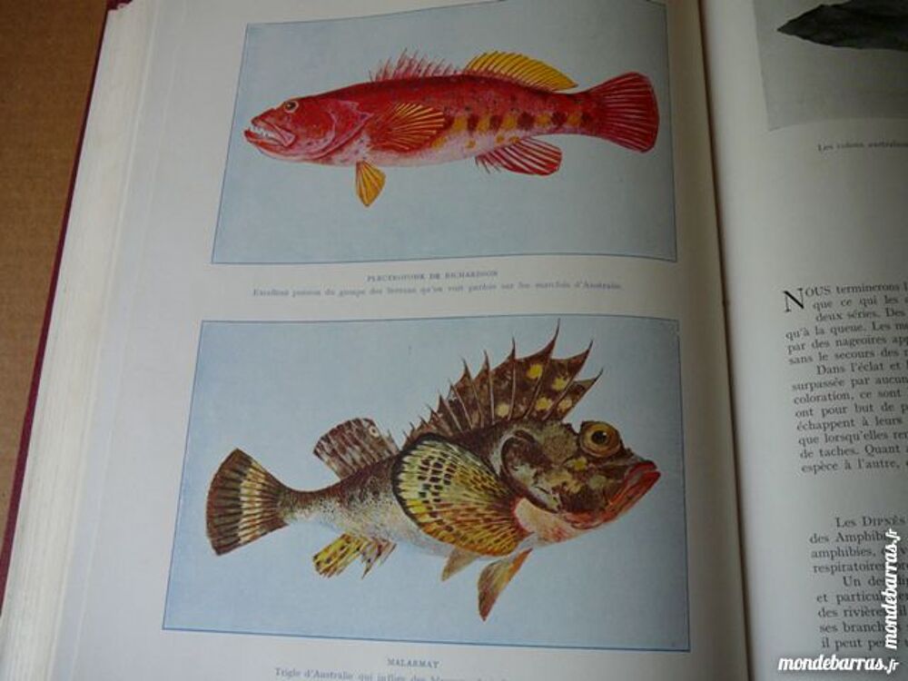 livre ancien Livres et BD