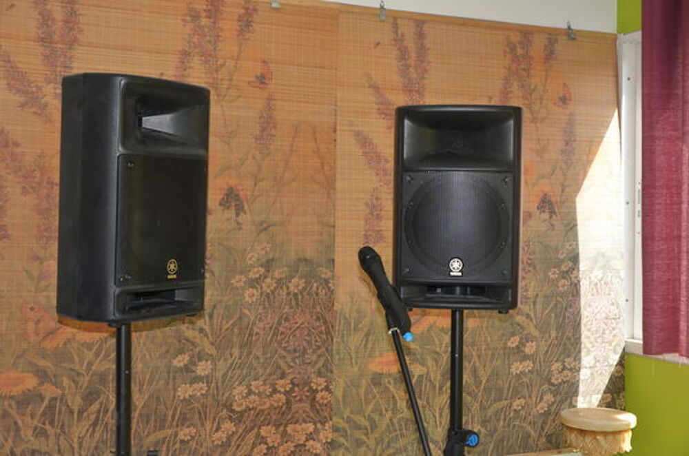 Petite Sonorisation YAMAHA Instruments de musique