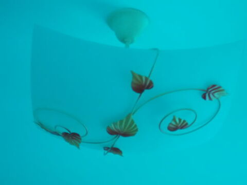 LUSTRES 50 Vertou (44)