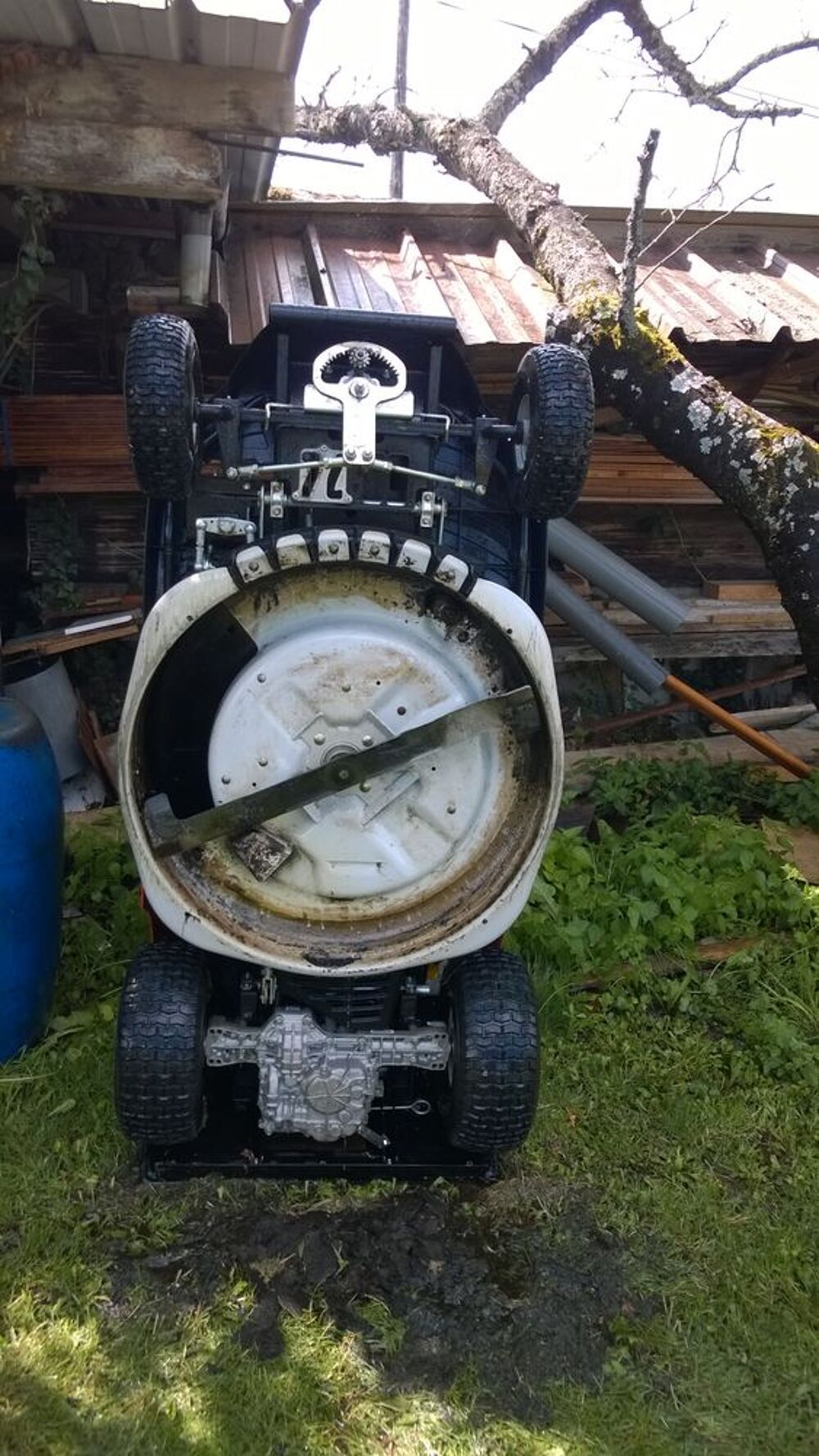 Tondeuse autoport&eacute;e OLEOMAC Jardin
