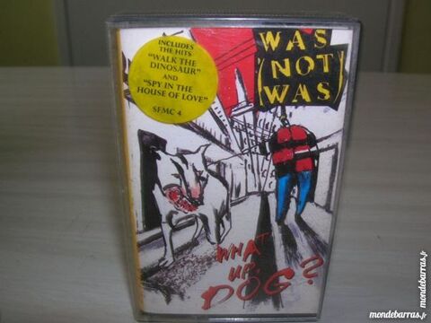 K7 WAS NOT WAS Like a dinosaur 5 Nantes (44)