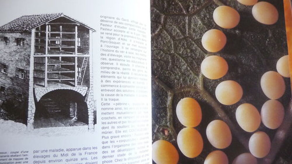 LIVRE. MONSIEUR PASTEUR Livres et BD