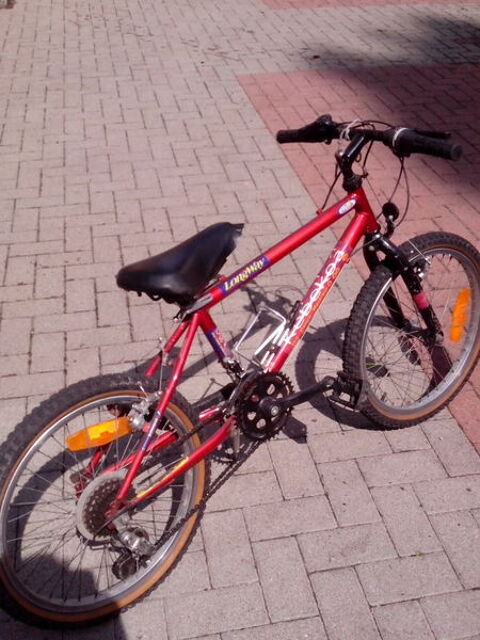 VTT 20 pouces 30 Saverne (67)