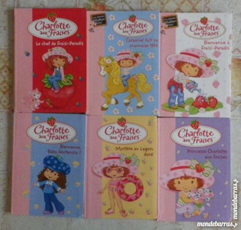 LOT 6 CHARLOTTE AUX FRAISES BIBLIOTHEQUE ROSE 2 Attainville (95)